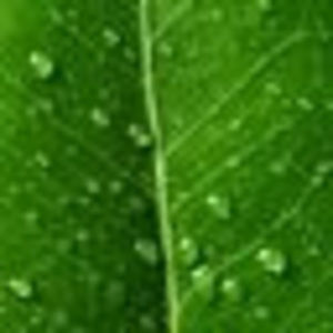 Meet your Posher, Mariela